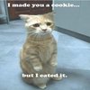 I Made You a Cookie, But I Eated It I Made You a Cookie, But I Eated It