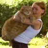Tubcat Tubcat