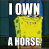 I Own a Horse I Own a Horse