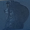E3 Bear