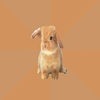 Cheap Bunny