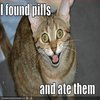 I Found Pills... And Ate Them! I Found Pills... And Ate Them!