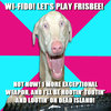Wi-Fido!