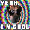 Cool Animals