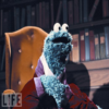 The Most Interesting Monster in the World