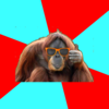 Brorangutan Approves Brorangutan Approves