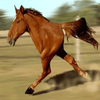 Retarded Running Horse / Two Legged Horse Retarded Running Horse / Two Legged Horse