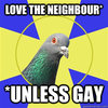 Religion Pigeon Religion Pigeon