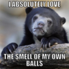 Confession Bear Confession Bear