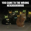 You Came to the Wrong Neighborhood You Came to the Wrong Neighborhood