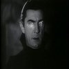 Real Vampires Don't Sparkle Real Vampires Don't Sparkle