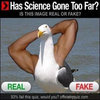 Has Science Gone Too Far? Has Science Gone Too Far?
