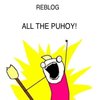 Puhoy Puhoy