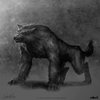 Werewolves Werewolves