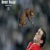 Sports Balls Replaced With Cats Sports Balls Replaced With Cats