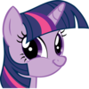 Twiface Twiface