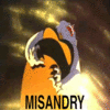 Misandry Misandry