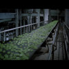 Tuesday Is Soylent Green Day Tuesday Is Soylent Green Day