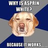 Racist Dog Racist Dog