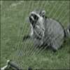 GIFs With Sound GIFs With Sound