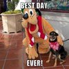 Best. Day. Ever. Best. Day. Ever.