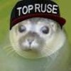 Walruse