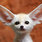 Cute-animals-5-animals-9403312-650-456
