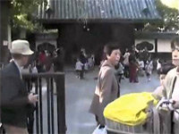 Japanese Man Laughs Like a Troll