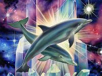 Dolphins