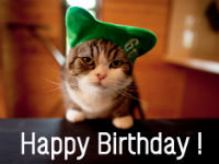 Happy Birthday, Maru!