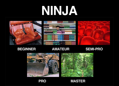 Ninja