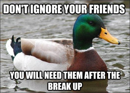 Socially Insightful Advice Mallard
