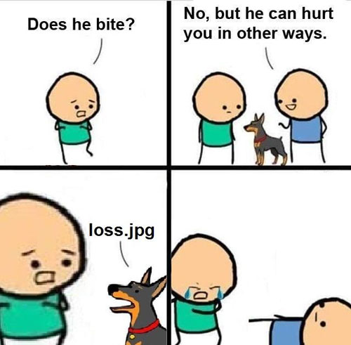 Does Your Dog Loss?