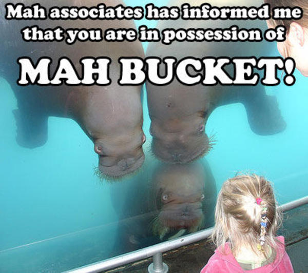 Pity, Pictures of girls in bukkiy well understand Thought Pictures of girls in bukkiy