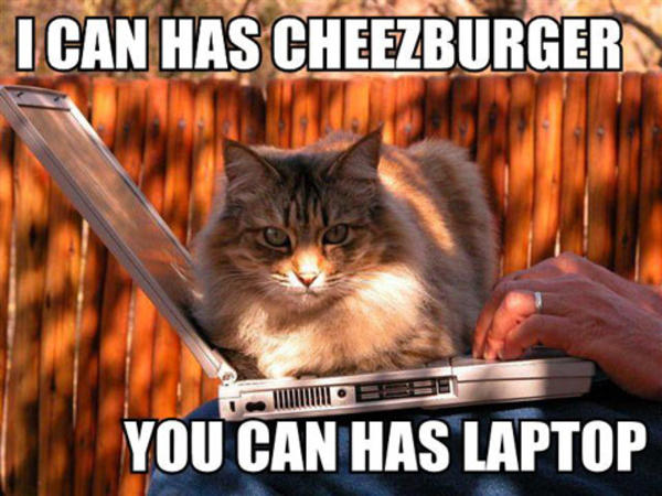 Grumpy Cat I Can Has Cheezburger Grumpy Cat I Can Has Cheezburger