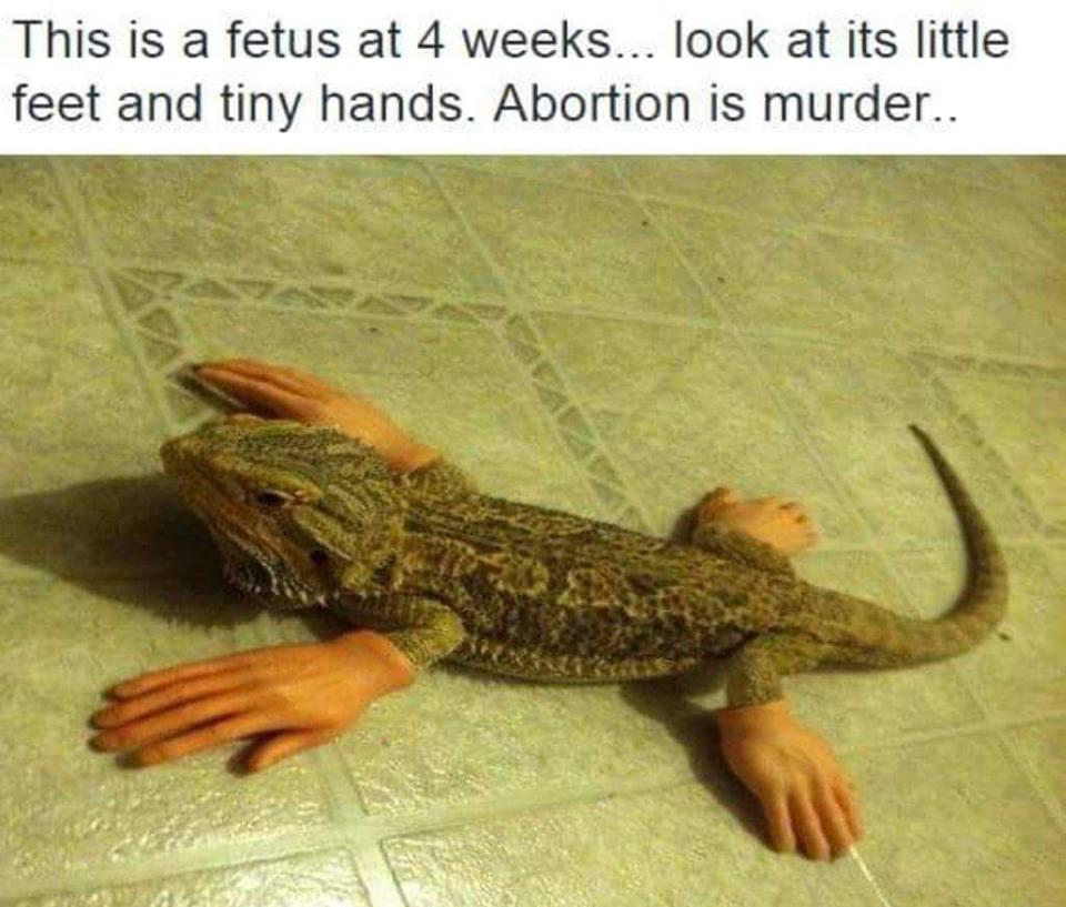 Abortion is murdering essays
