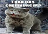 LOLcats