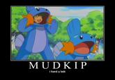 I Herd U Like Mudkips