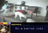 Do A Barrel Roll