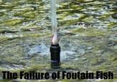 FAIL