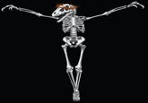 Raptor Jesus