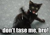 Don't Tase Me Bro!