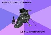 Rich Raven
