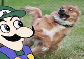 Weegee