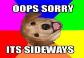 Advice Dog