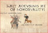 Stop Calling me a Homo!