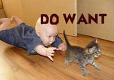 Do Want / Do Not Want