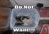Do Want / Do Not Want