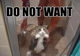 Do Want / Do Not Want