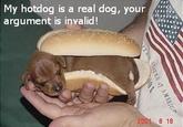 Your Argument is Invalid